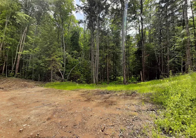 Photo 2 of Land for sale at 0 Route 155, Weston, VT 05161 | MLS# 4905774 | Listing updated on 2026-06-02