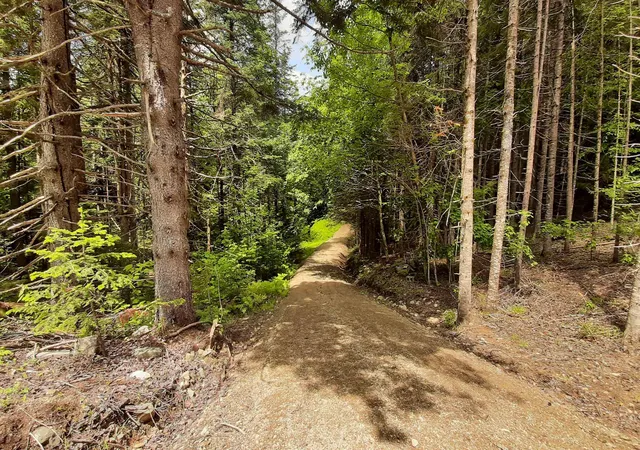 Photo 3 of Land for sale at 0 Route 155, Weston, VT 05161 | MLS# 4905774 | Listing updated on 2026-06-02