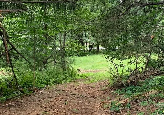 Photo 4 of Sale Pending at 0 Barnard Rd, Woodstock, VT 05091 | MLS# 4945272 | Listing updated on 2026-07-09