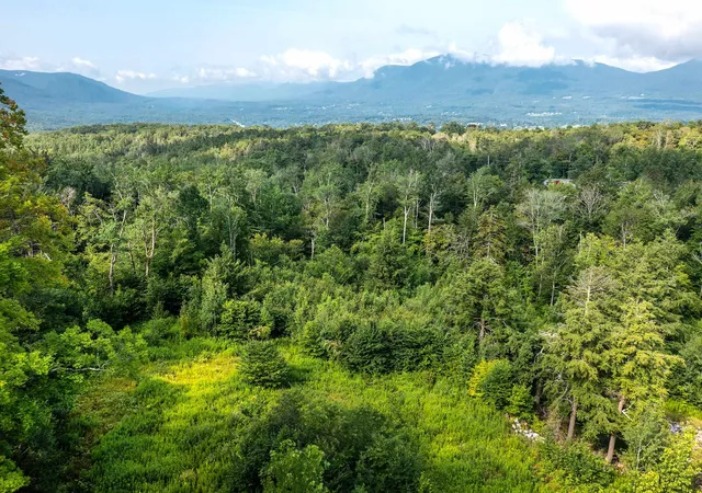 Homes for sale in Winhall, VT | Lot 3 Route 11/30, Winhall, VT 05340 | MLS# 4963233
