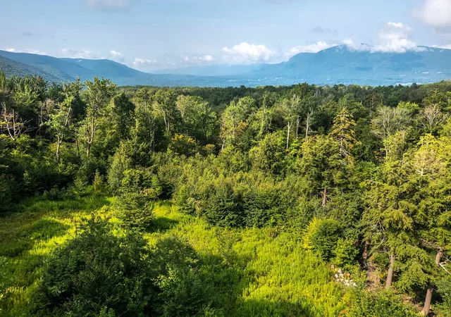 Homes for sale in Winhall, VT | Lot 3 Route 11/30, Winhall, VT 05340 | MLS# 4963233