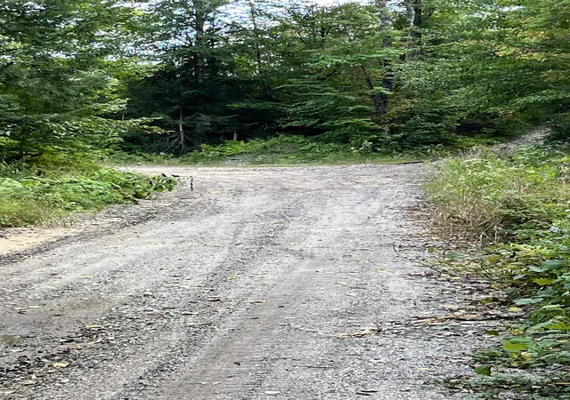 4th image of 16 Pollys Crossing Rd, Ossipee, NH 03864 | MLS# 4976565