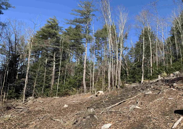 Homes for sale in Winchester, NH | Map3 Lot9 Scotland Rd, Winchester, NH 03470 | MLS# 4987413