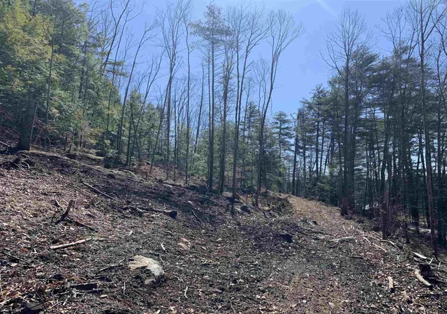 Homes for sale in Winchester, NH | Map3 Lot9 Scotland Rd, Winchester, NH 03470 | MLS# 4987413