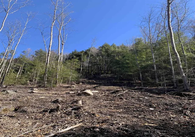 Homes for sale in Winchester, NH | Map3 Lot9 Scotland Rd, Winchester, NH 03470 | MLS# 4987413