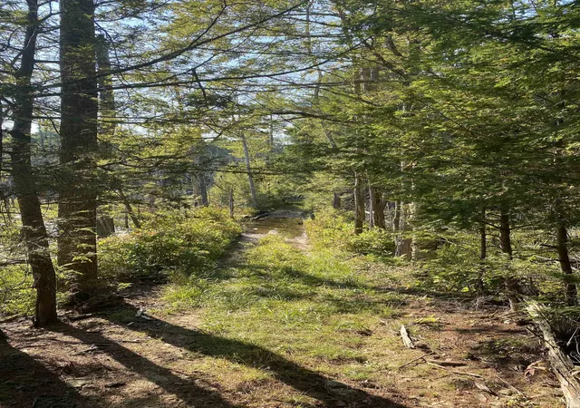 Homes for sale in Chester, NH | 00 Dump Rd, Chester, NH 03036 | MLS# 4989721