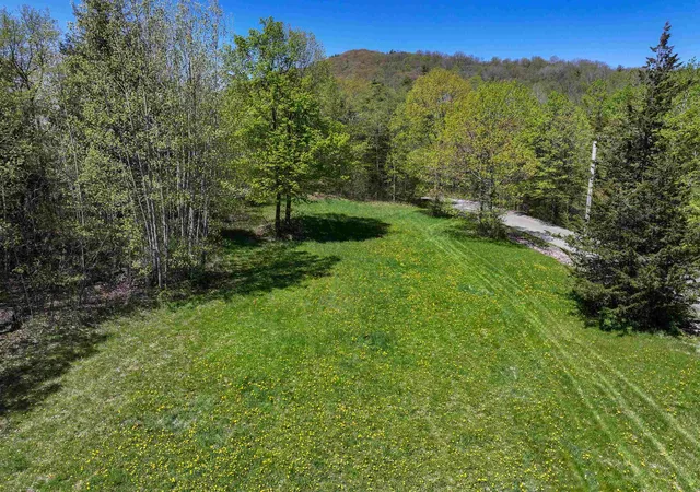4th image of Tbd Forrest Rd, Bridport, VT 05734 | MLS# 4995061