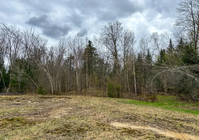 4th image of 0 Atwood Rd, Brighton, VT 05846 | MLS# 4996062