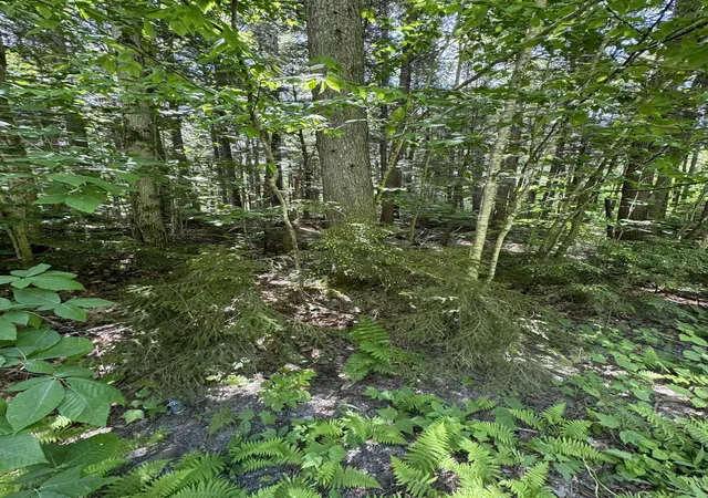 Homes for sale in West Wardsboro, VT | 0 Boardman Loop, West Wardsboro, VT 05360 | MLS# 4999194