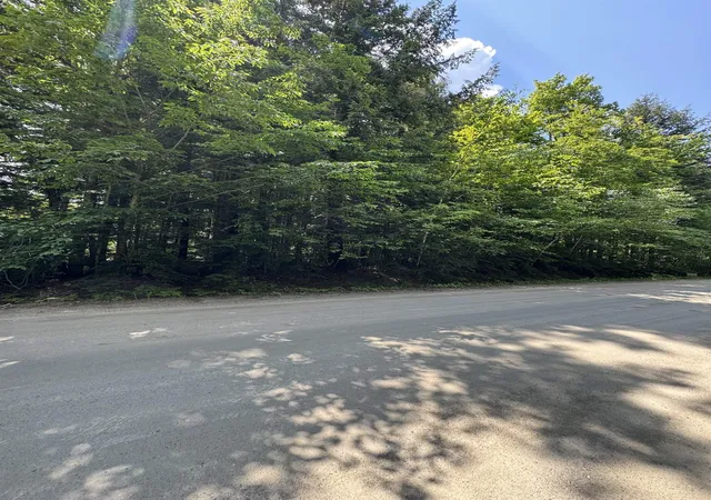 Homes for sale in West Wardsboro, VT | 0 Boardman Loop, West Wardsboro, VT 05360 | MLS# 4999194