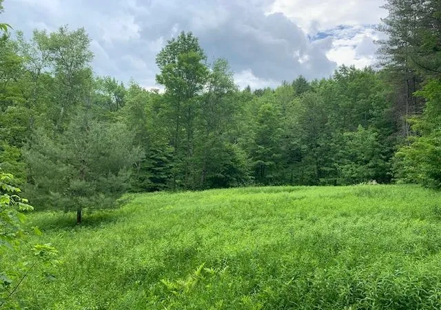 3rd image of 95 Jenne Rd, Hartland, VT 05089 | MLS# 4999222