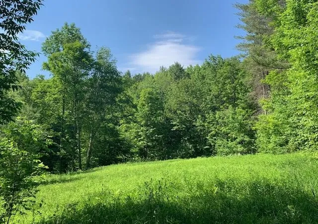 4th image of 95 Jenne Rd, Hartland, VT 05089 | MLS# 4999222