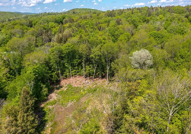Homes for sale in Wardsboro, VT | 585 Sawmill Rd, Wardsboro, VT 05360 | MLS# 5002531