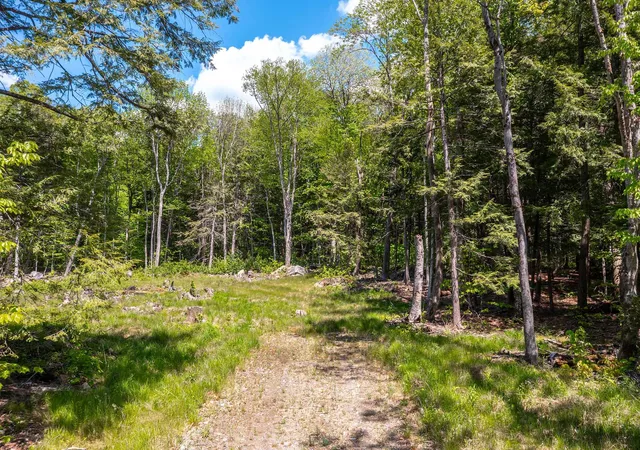 Homes for sale in Wardsboro, VT | 585 Sawmill Rd, Wardsboro, VT 05360 | MLS# 5002531