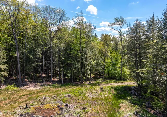 Homes for sale in Wardsboro, VT | 585 Sawmill Rd, Wardsboro, VT 05360 | MLS# 5002531