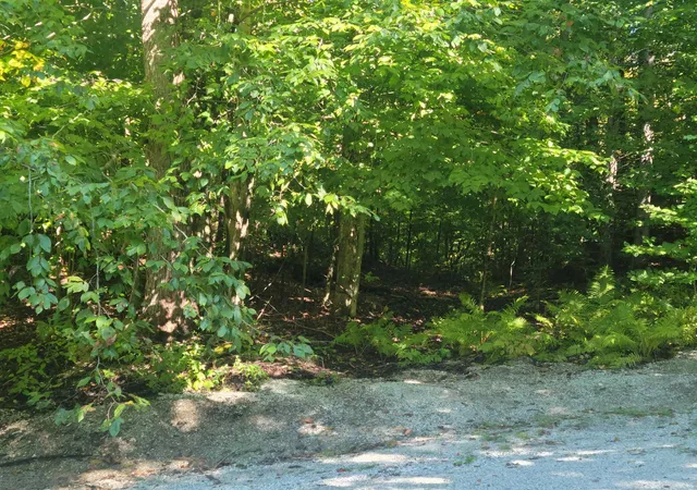 3rd image of Lot 8 Barts Hill Rd, Killington, VT 05751 | MLS# 5014205