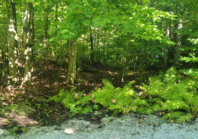 4th image of Lot 8 Barts Hill Rd, Killington, VT 05751 | MLS# 5014205