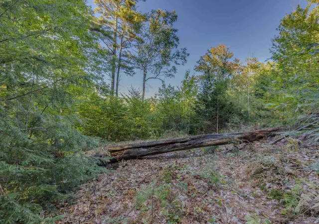 Homes for sale in Holderness, NH | 00 Perkins Ln, Holderness, NH 03245 | MLS# 5016643