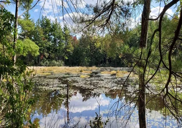 4th image of 220 Stowell Rd, New Ipswich, NH 03071 | MLS# 5017714