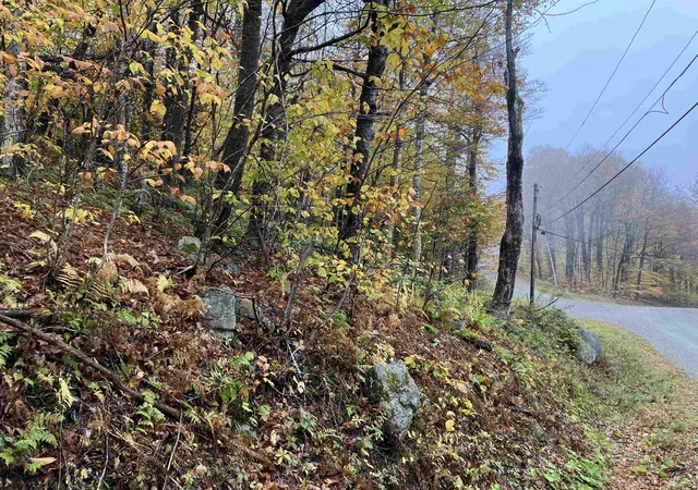 Homes for sale in Wilmington, VT | 564 Upper Dam Rd, Wilmington, VT 05363 | MLS# 5019824