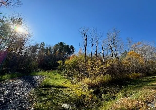 Photo 2 of Land for sale at 0 Route 132, South Strafford, VT 05070 | MLS# 5020037 | Listing updated on 2026-08-26