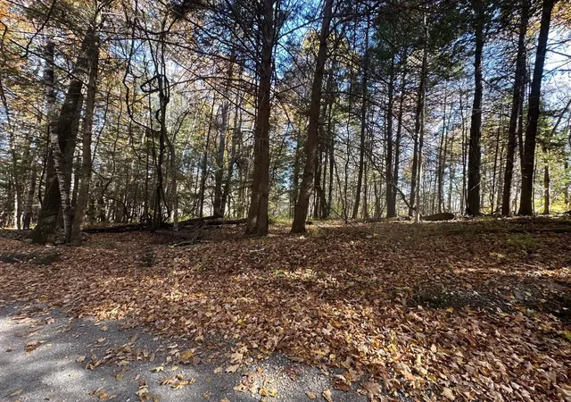 Homes for sale in Guilford, VT | 184 Dupre Dr, Guilford, VT 05301 | MLS# 5020773