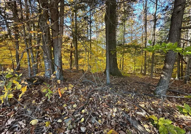 Homes for sale in Guilford, VT | 184 Dupre Dr, Guilford, VT 05301 | MLS# 5020773
