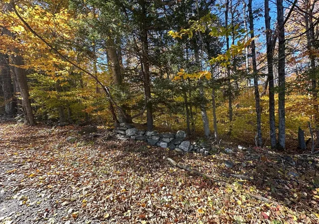 Homes for sale in Guilford, VT | 184 Dupre Dr, Guilford, VT 05301 | MLS# 5020773