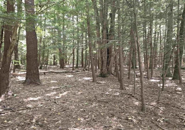 Homes for sale in Charlestown, NH | Claremont Rd, Charlestown, NH 03603 | MLS# 5023258