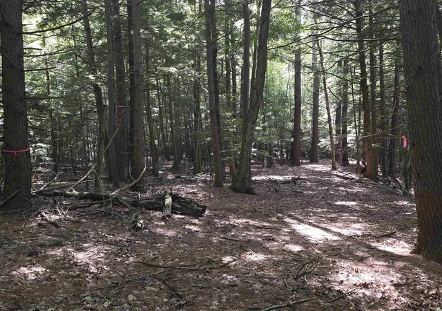 Homes for sale in Charlestown, NH | Claremont Rd, Charlestown, NH 03603 | MLS# 5023258