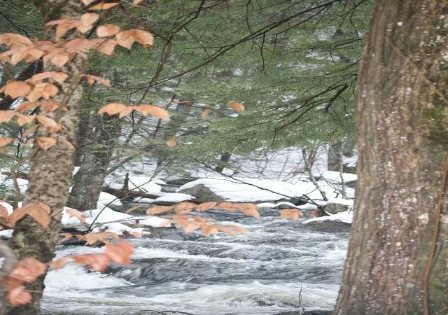 13th image of 481 Chocorua Mountain Hwy, Tamworth, NH 03886 | MLS# 5023619
