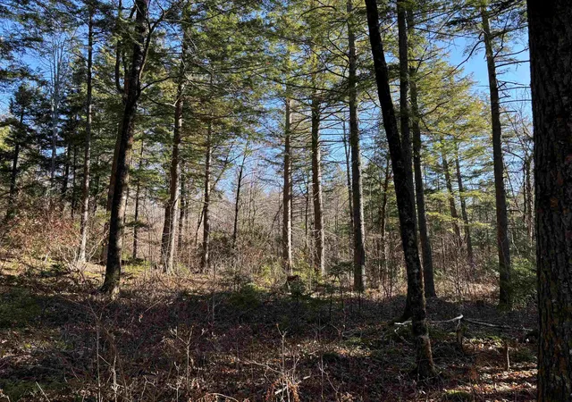 Photo 3 of Land for sale at 481 Chocorua Mountain Hwy, Chocorua, NH 03817 | MLS# 5023619 | Listing updated on 2026-06-26