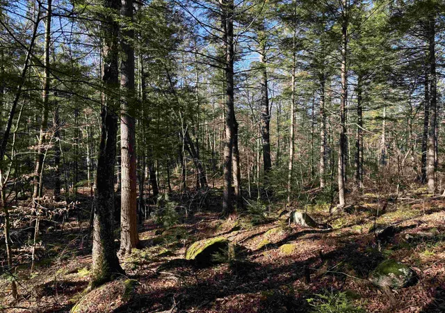 Photo 4 of Land for sale at 481 Chocorua Mountain Hwy, Chocorua, NH 03817 | MLS# 5023619 | Listing updated on 2026-06-26