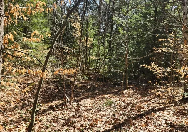 4th image of 0 West Main St, Hillsboro, NH 03244 | MLS# 5026007