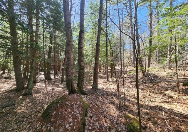 52nd image of 0 West Main St, Hillsboro, NH 03244 | MLS# 5026007