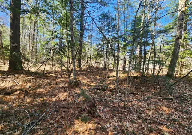 5th image of 0 West Main St, Hillsboro, NH 03244 | MLS# 5026007