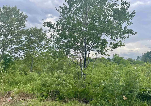 Photo 3 of Land for sale at 00 Gilman Rd, Lyndon, VT 05851 | MLS# 5026270 | Listing updated on 2026-07-16