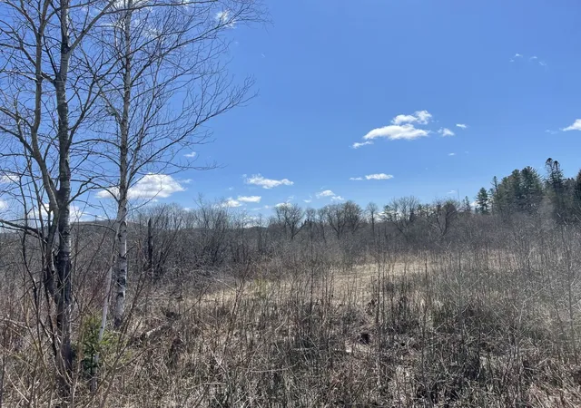 Photo 3 of Land for sale at 00 Gilman Rd, Lyndon, VT 05851 | MLS# 5026270 | Listing updated on 2026-07-16
