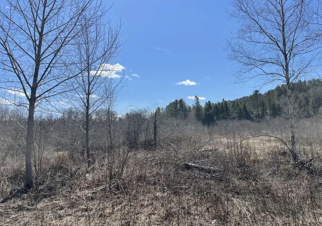 Photo 4 of Land for sale at 00 Gilman Rd, Lyndon, VT 05851 | MLS# 5026270 | Listing updated on 2026-07-16