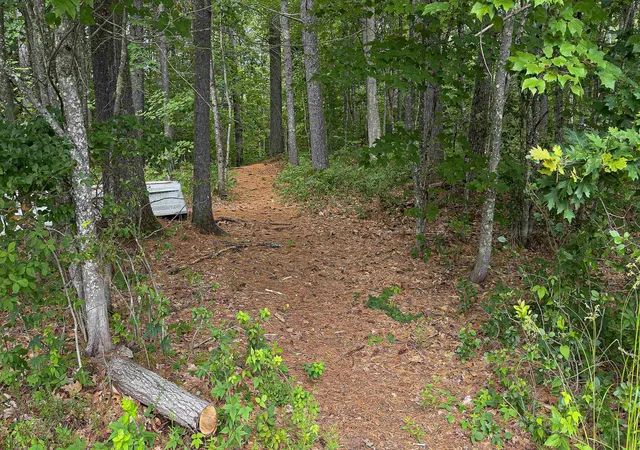 3rd image of 62-B Long Pond Dr, Denmark, ME 04022 | MLS# 5033993