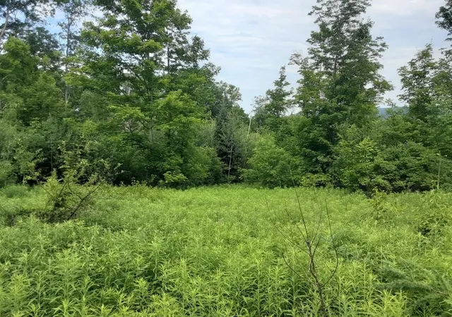 1st image of 324 Crane Hill Rd, Sugar Hill, NH 03586 | MLS# 5034286