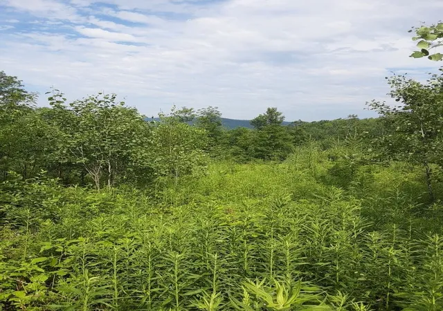 3rd image of 324 Crane Hill Rd, Sugar Hill, NH 03586 | MLS# 5034286