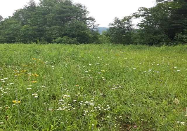 4th image of 324 Crane Hill Rd, Sugar Hill, NH 03586 | MLS# 5034286