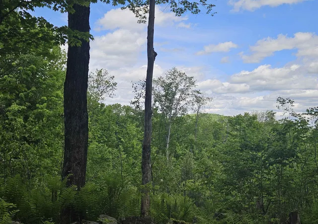 5th image of 324 Crane Hill Rd, Sugar Hill, NH 03586 | MLS# 5034286