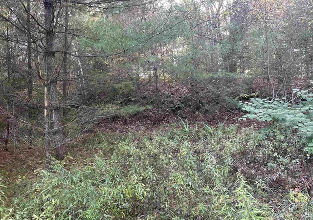 Photo 3 of Land for sale at 000 Hodge Hill Rd, Lisbon, NH 03585 | MLS# 5039082 | Listing updated on 2026-04-02