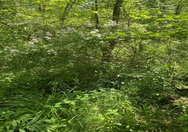 Photo 3 of Land for sale at 00 Lovell Rd, Stratham, NH 03885 | MLS# 5040815 | Listing updated on 2026-09-08