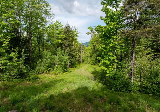29th image of 00 Bear Creek Ln, Waterbury Center, VT 05677 | MLS# 5041605