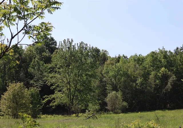 1st image of 1041 Smead Rd, Salisbury, VT 05769 | MLS# 5044440