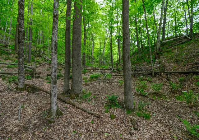 Homes for sale in Plymouth, VT | 0 East Ash Rd, Plymouth, VT 05056 | MLS# 5044853