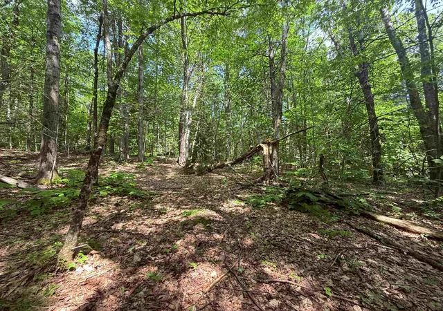 Homes for sale in Halifax, VT | 251 Phillips Hill Rd, Halifax, VT 05358 | MLS# 5045217